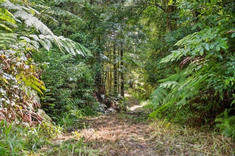 3566 Kalang Road KALANG NSW, Kalang - Thumbnail 4