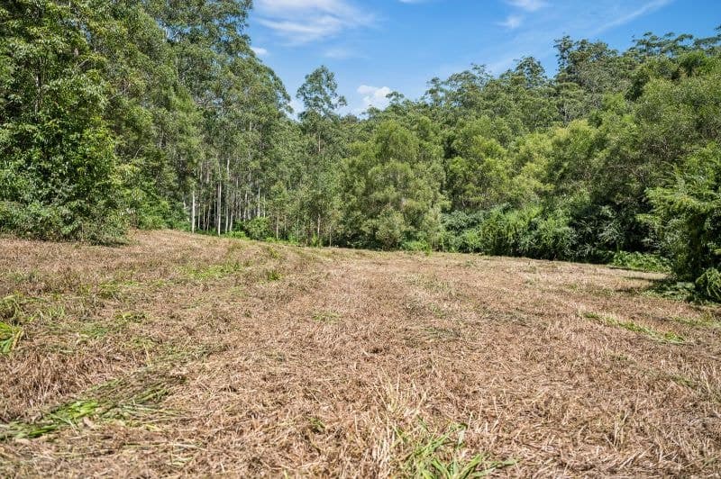 3566 Kalang Road KALANG NSW, Kalang - Thumbnail 5