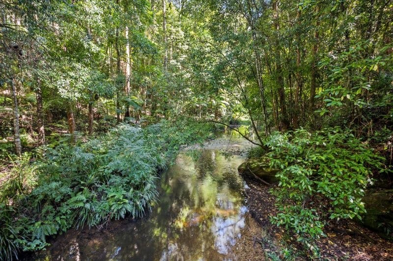 3566 Kalang Road KALANG NSW, Kalang - Thumbnail 6