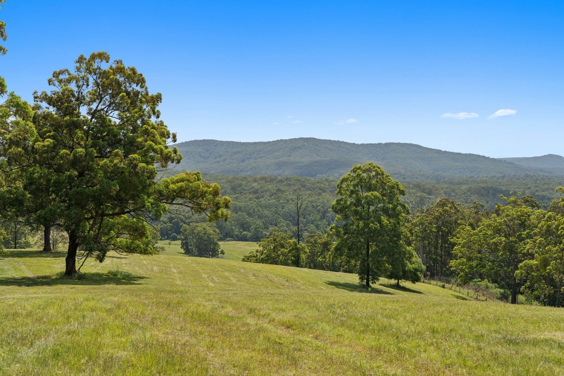 Lot 44/489 T Tree Road UPPER CORINDI NSW, Upper Corindi - Thumbnail 4