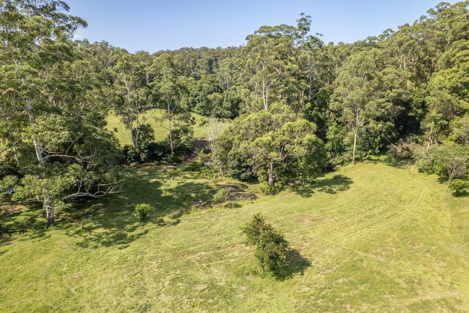 Lot 44/489 T Tree Road UPPER CORINDI NSW, Upper Corindi - Thumbnail 5