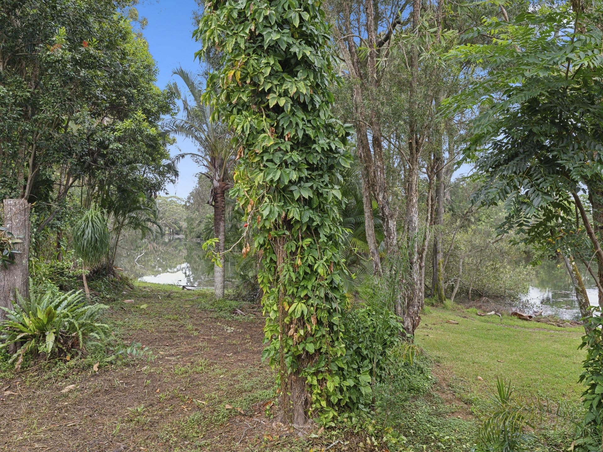 1/11 Haines Close WOOLGOOLGA NSW, Woolgoolga - Thumbnail 7