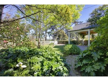 17 Alexander Avenue, Mornington - Thumbnail 2