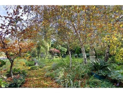 31 Seahaze Street, Arthurs Seat - Thumbnail 3