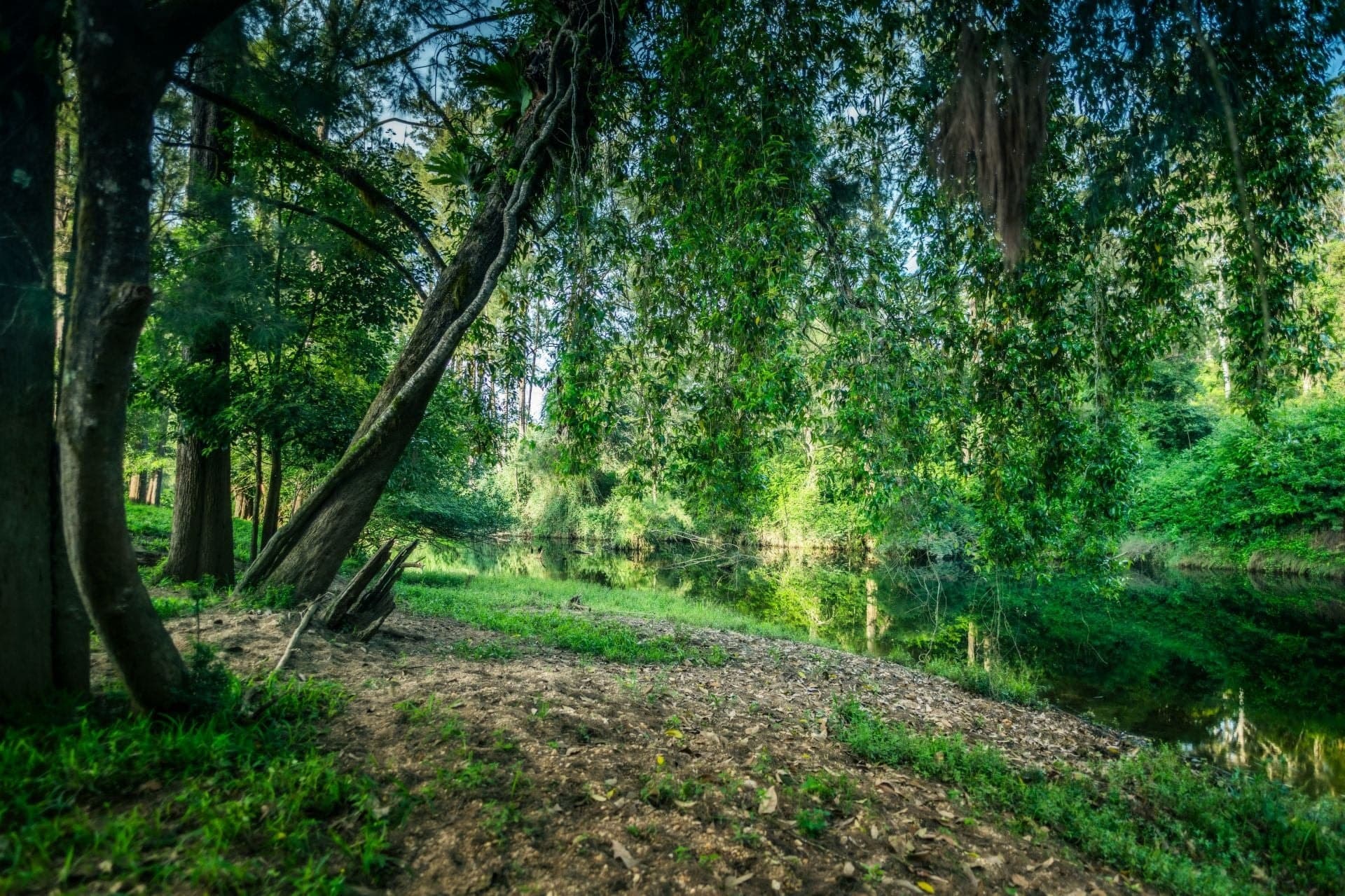 316 Kalang Road BELLINGEN NSW, Bellingen - Thumbnail 6