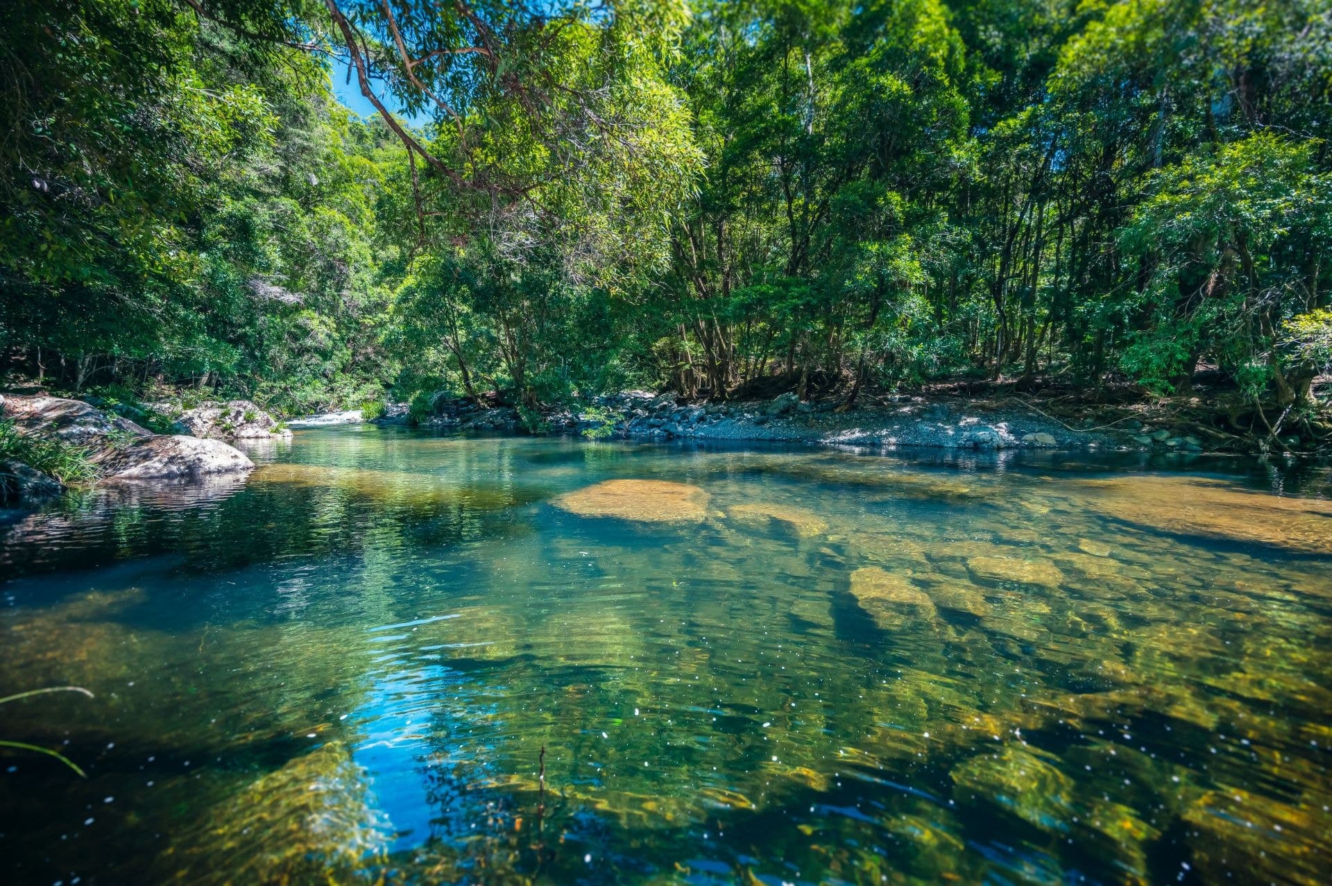 691 Promised Land Road BELLINGEN NSW, Bellingen - Thumbnail 4