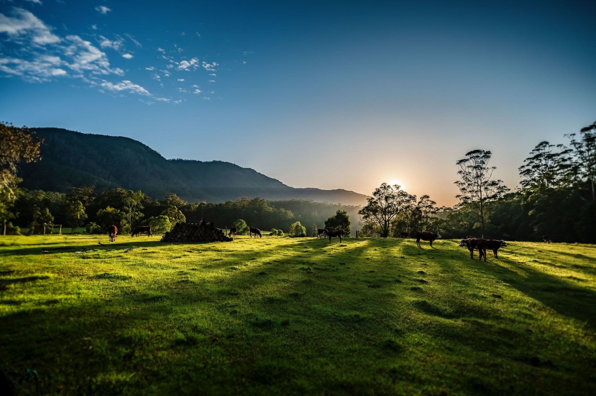 691 Promised Land Road BELLINGEN NSW, Bellingen - Thumbnail 5