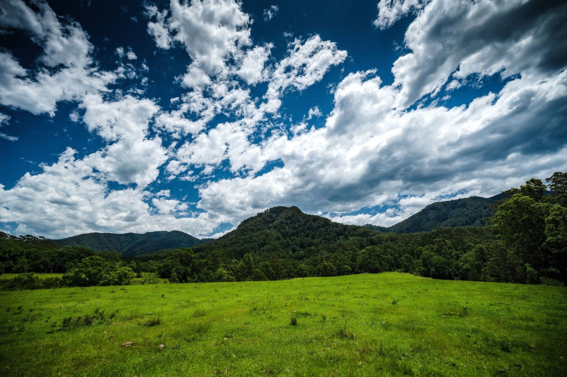 691 Promised Land Road BELLINGEN NSW, Bellingen - Thumbnail 6