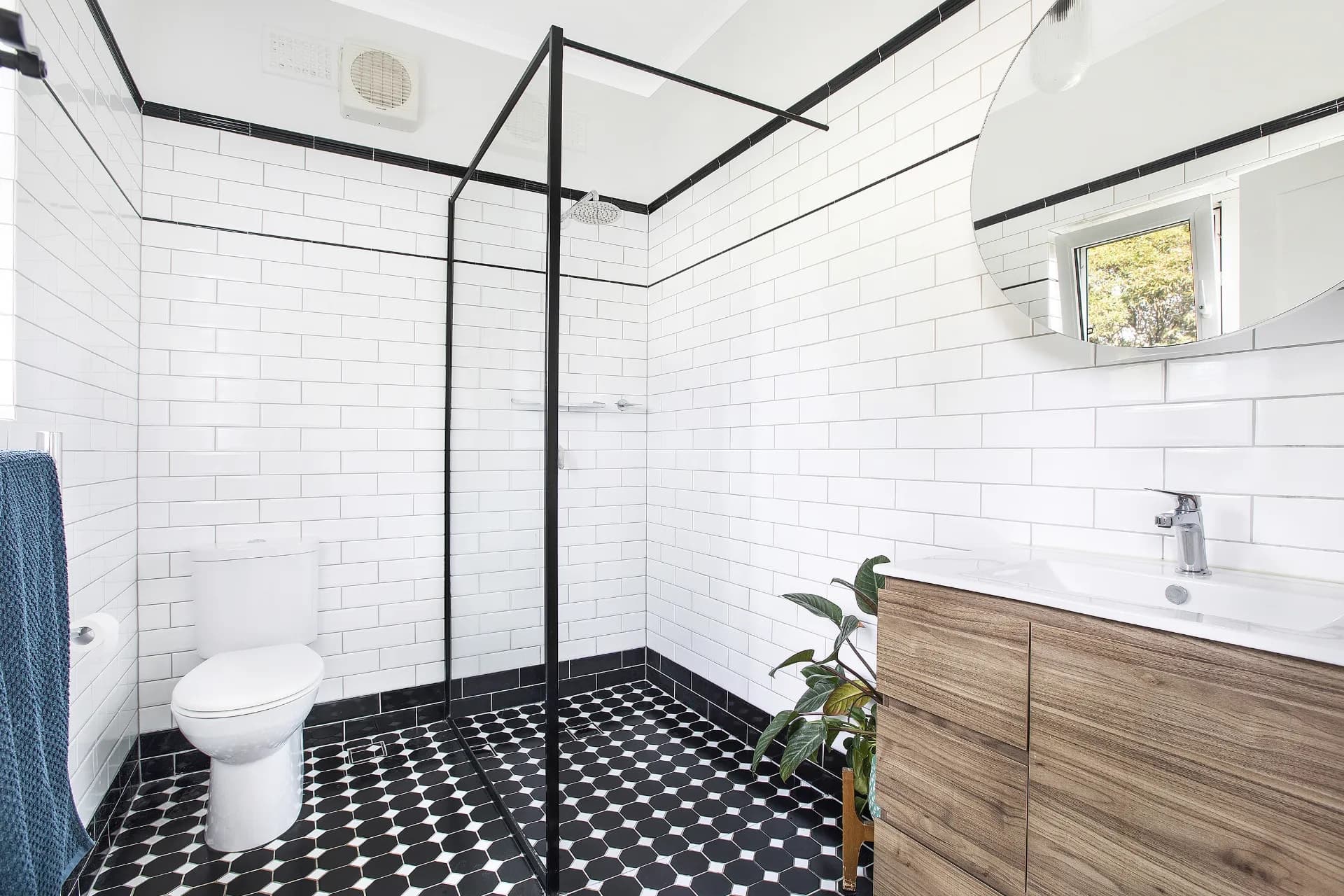 6/25 Mount Street, Coogee, NSW, Coogee - Thumbnail 5