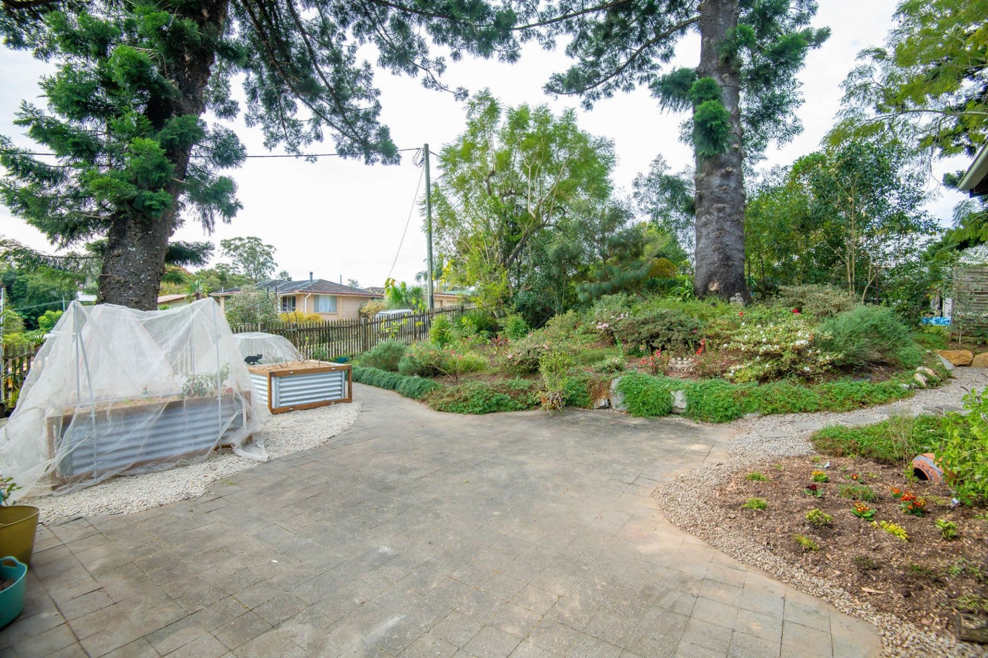 9 McNally St BELLINGEN NSW, Bellingen - Thumbnail 5