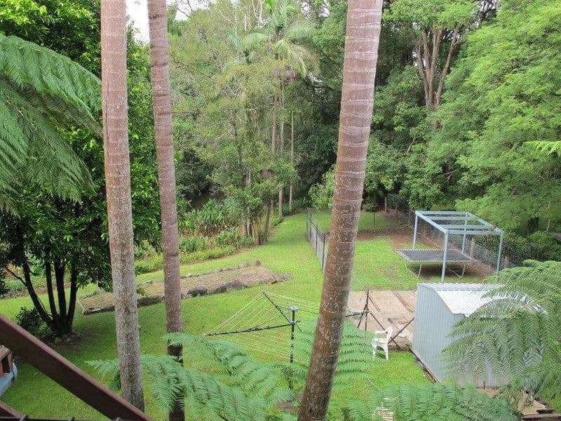 1117 Waterfall Way BELLINGEN NSW, Bellingen - Thumbnail 7