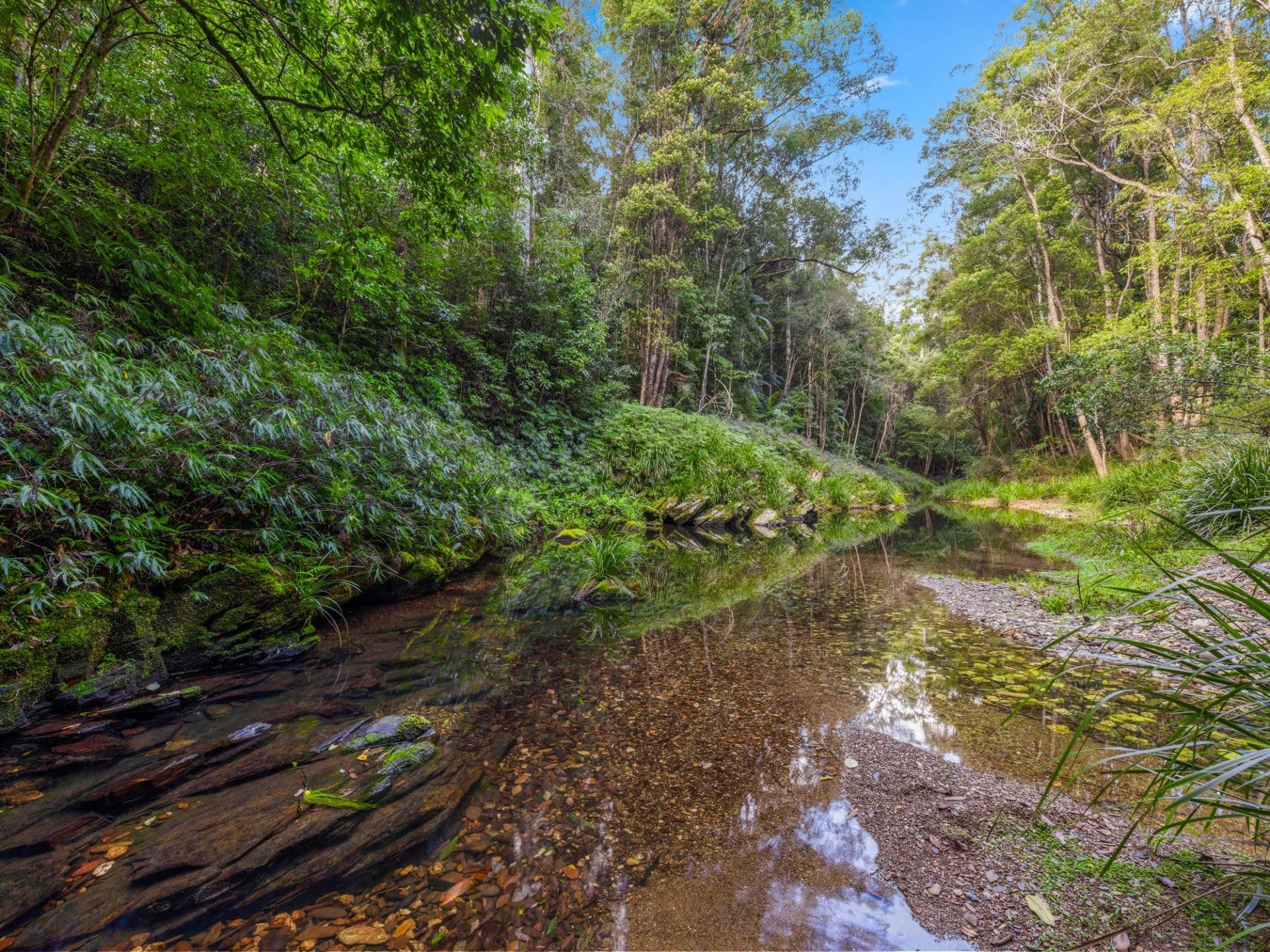 2206 Kalang Road BELLINGEN NSW, Bellingen - Image 1