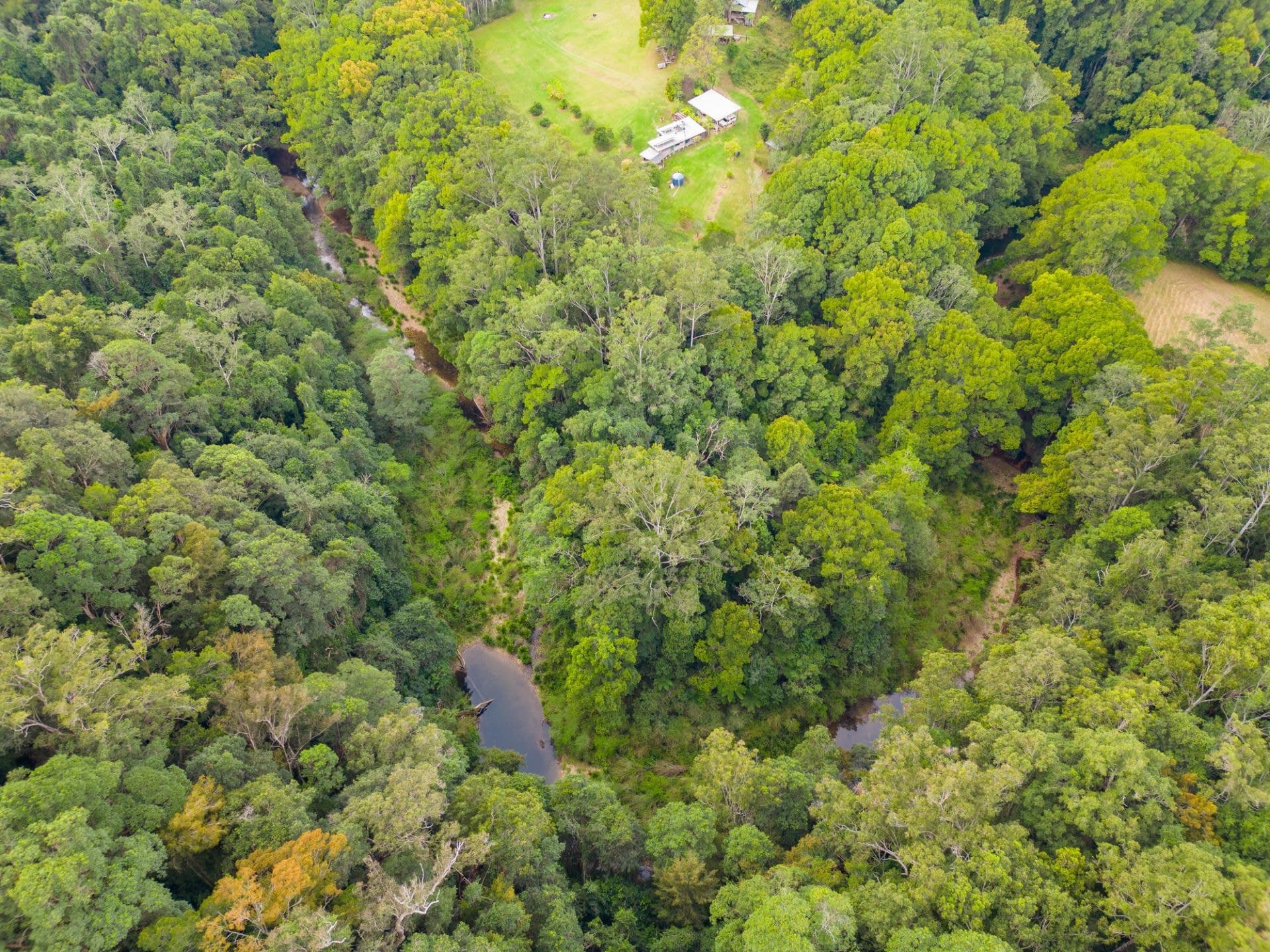 2206 Kalang Road BELLINGEN NSW, Bellingen - Thumbnail 2