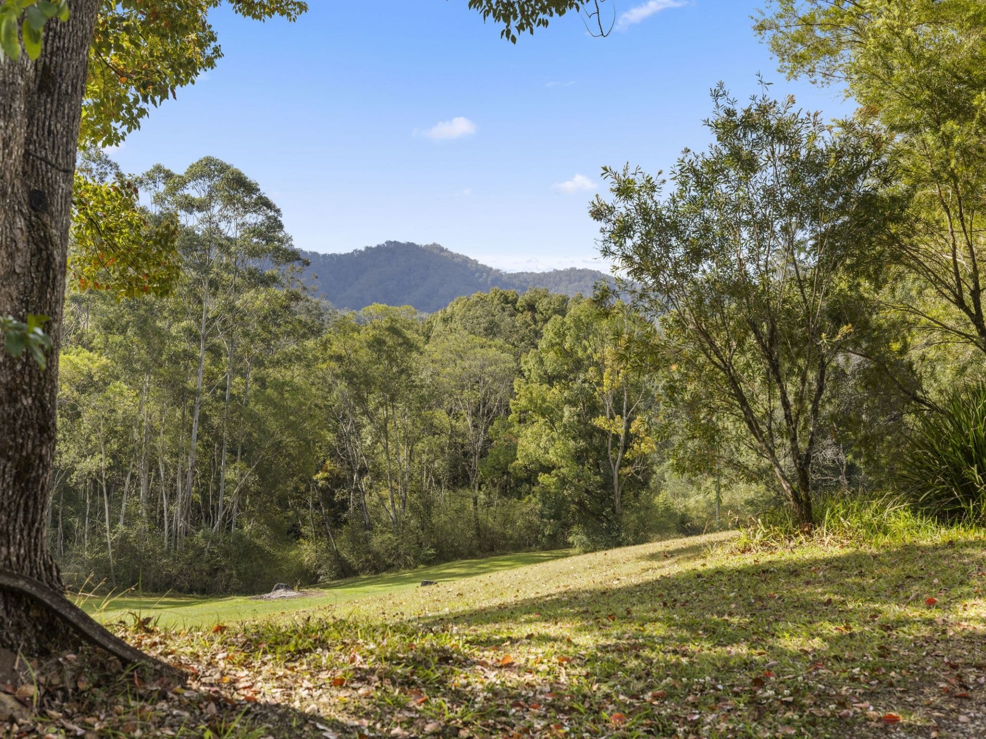 2206 Kalang Road BELLINGEN NSW, Bellingen - Thumbnail 8