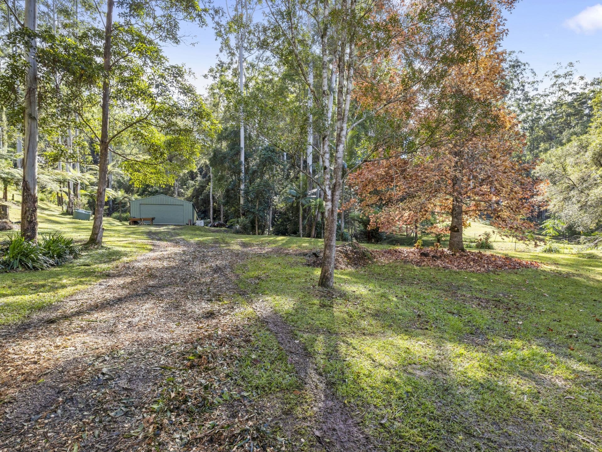 774 Kalang Road KALANG NSW, Kalang - Thumbnail 5