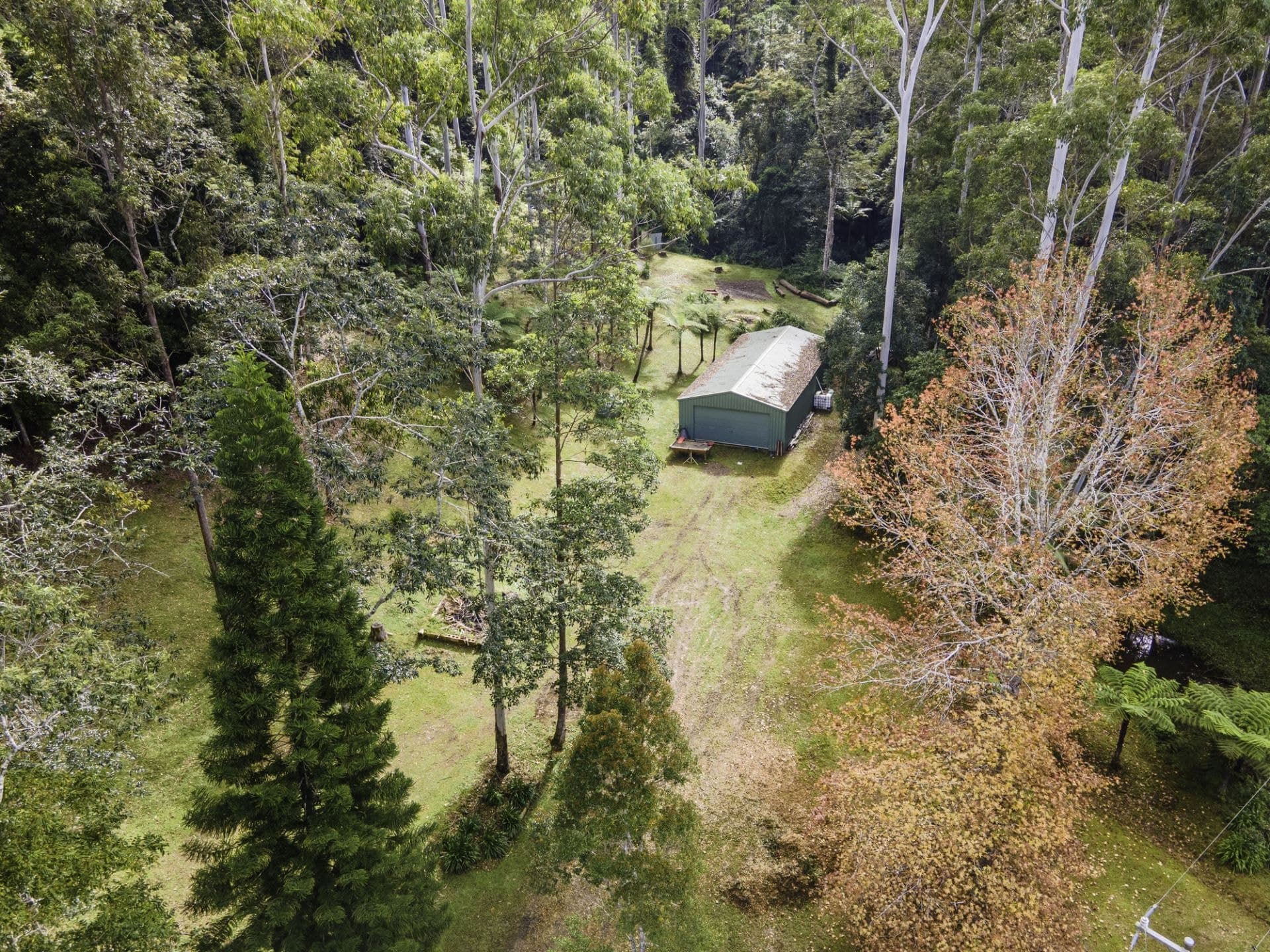 774 Kalang Road KALANG NSW, Kalang - Thumbnail 7