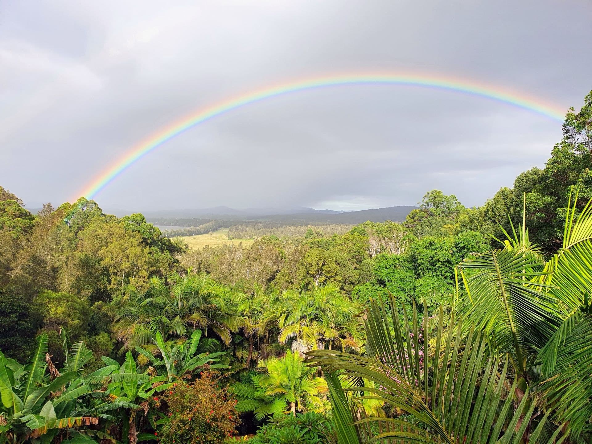 41 Perrys Road REPTON NSW, Repton - Thumbnail 8