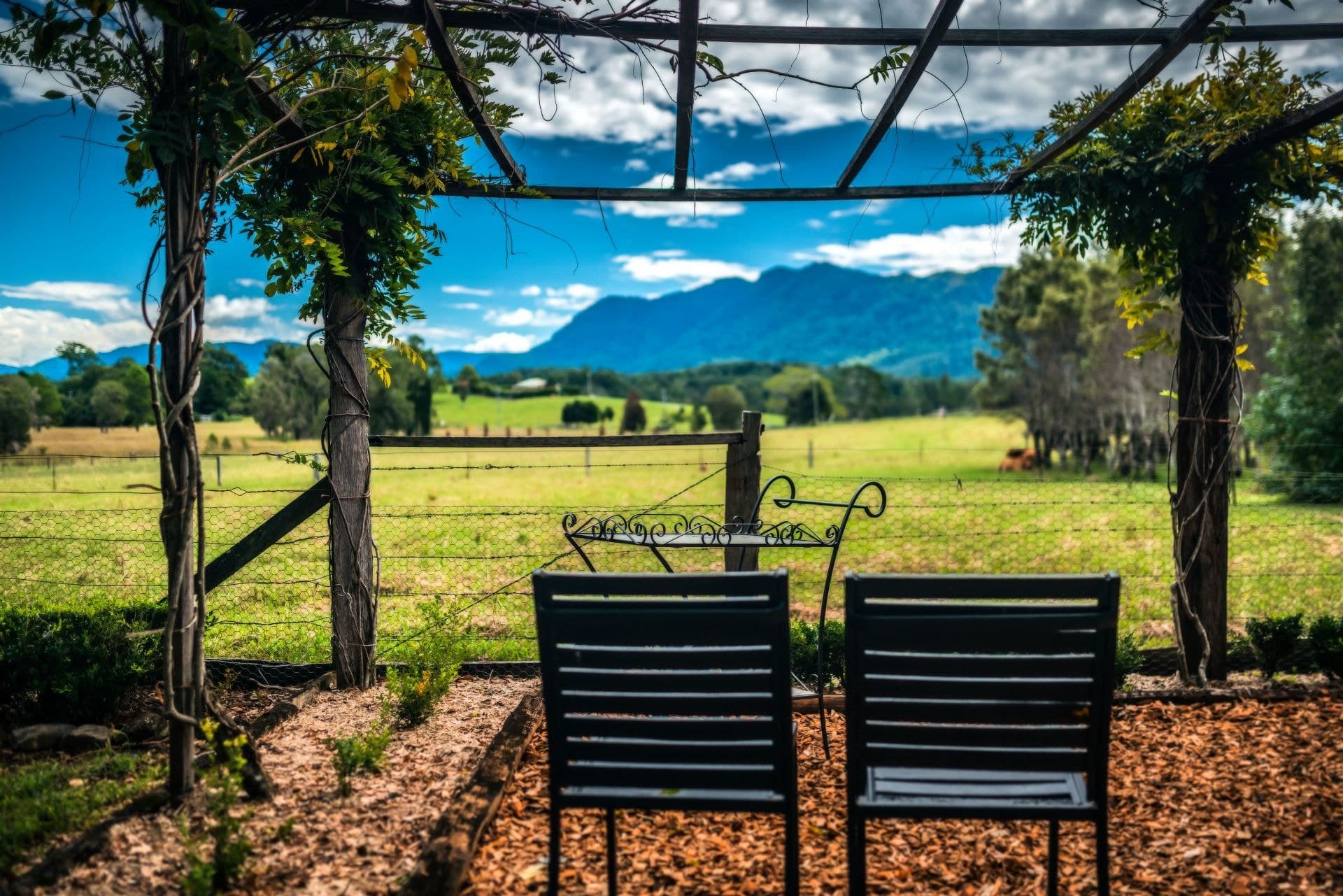 1605 Waterfall Way BELLINGEN NSW, Bellingen - Thumbnail 2
