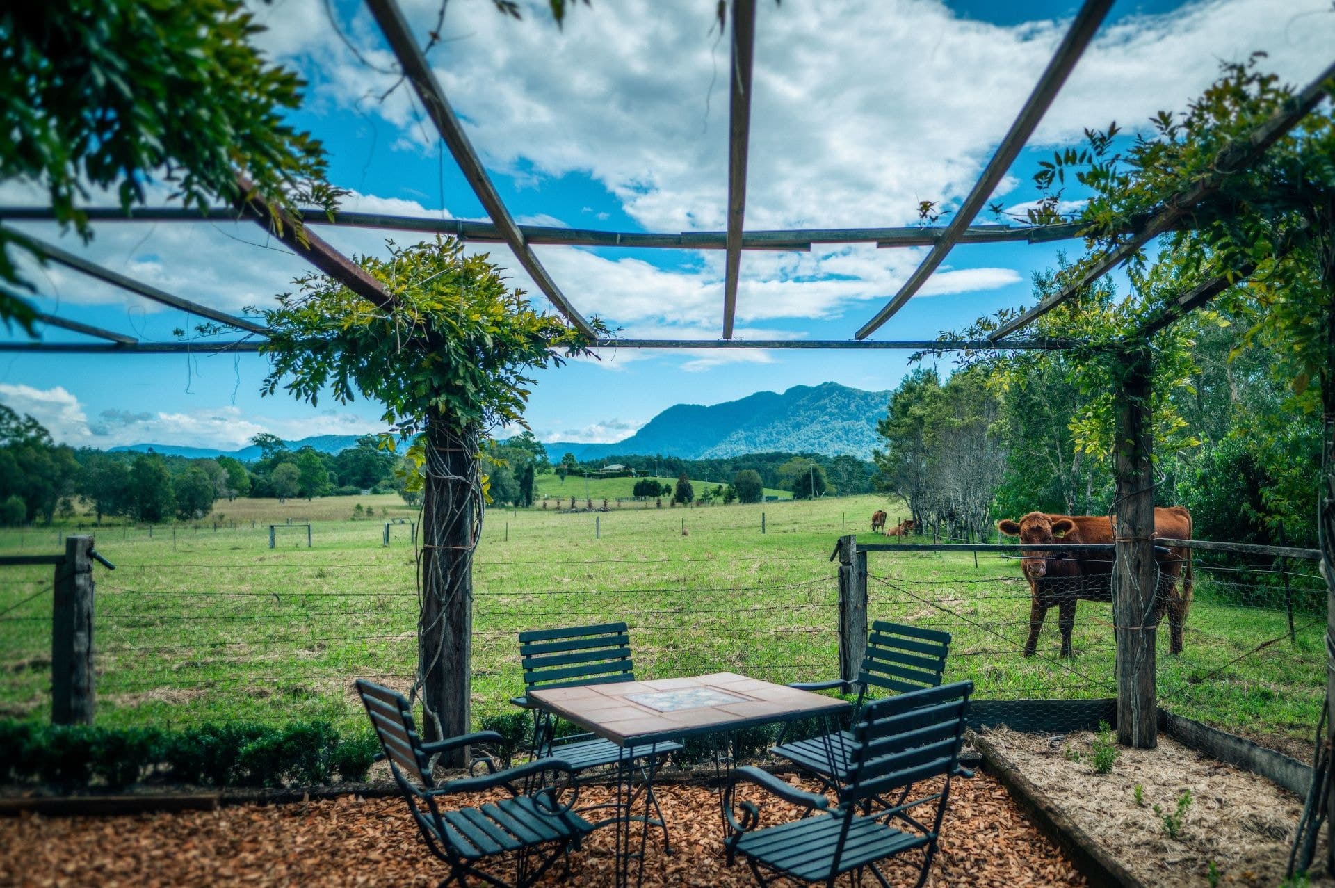 1605 Waterfall Way BELLINGEN NSW, Bellingen - Thumbnail 5