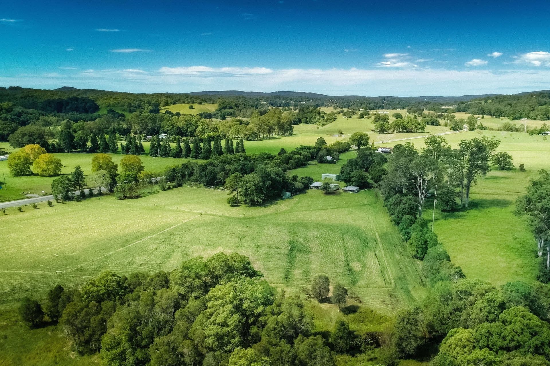 1605 Waterfall Way BELLINGEN NSW, Bellingen - Thumbnail 7