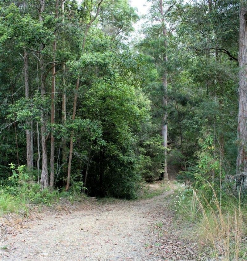 37 Murphys Road UPPER CORINDI NSW, Upper Corindi - Thumbnail 4
