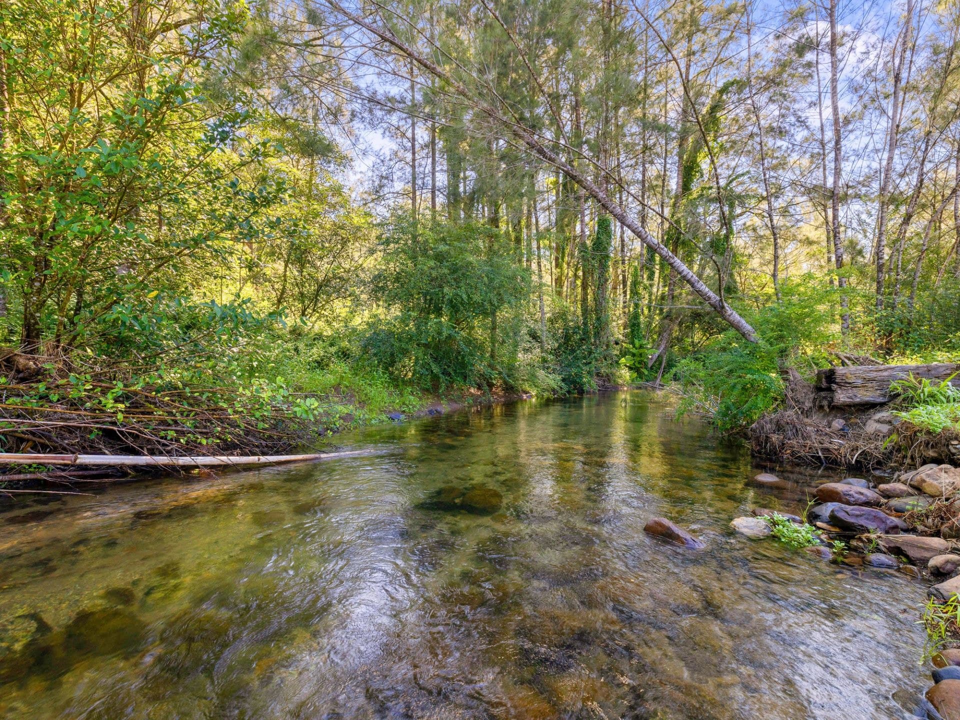 1824 Darkwood Rd BELLINGEN NSW, Bellingen - Thumbnail 3