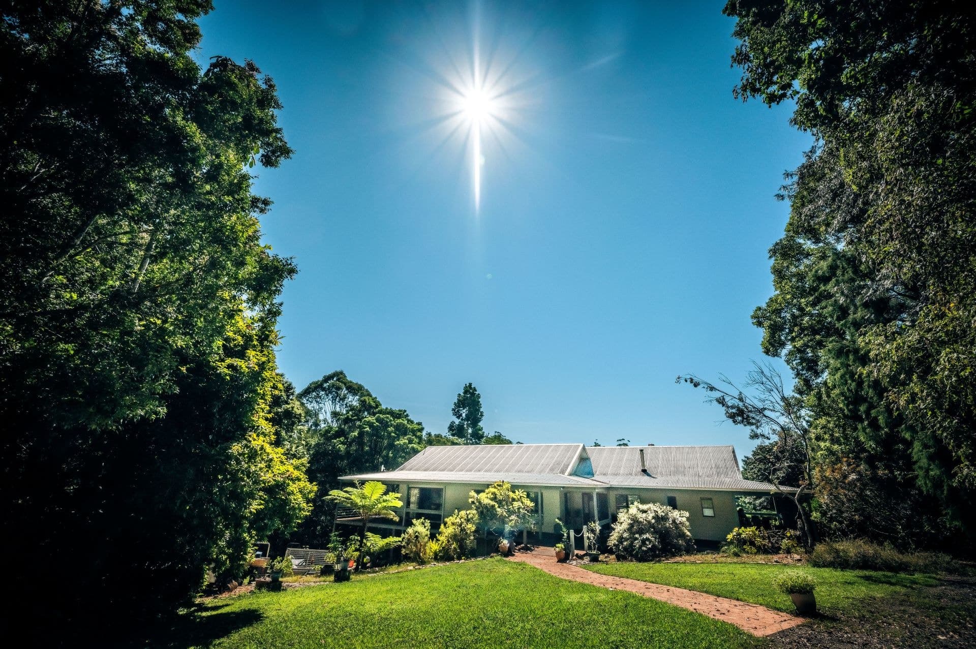 161 Mount Street BELLINGEN NSW, Bellingen - Thumbnail 7