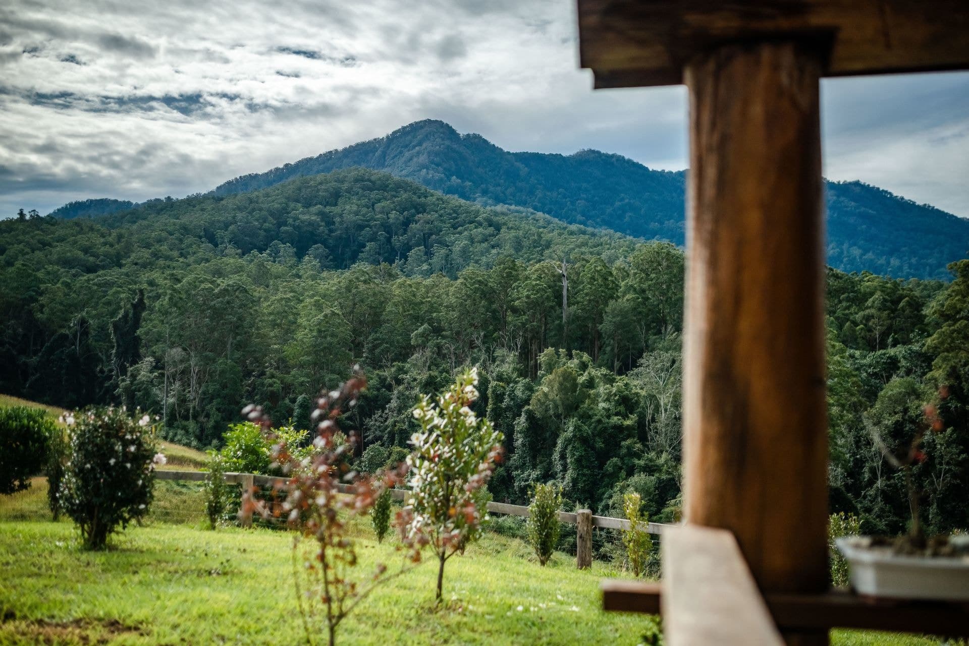 758 Summervilles Road BELLINGEN NSW, Bellingen - Thumbnail 5