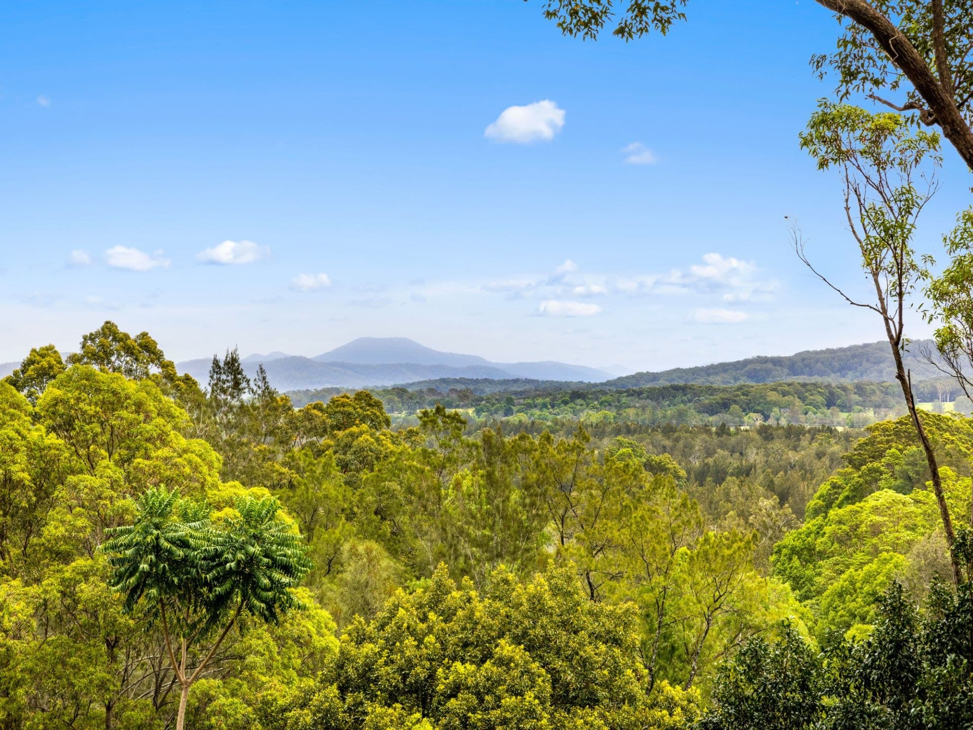 39 Perrys Road REPTON NSW, Repton - Thumbnail 3
