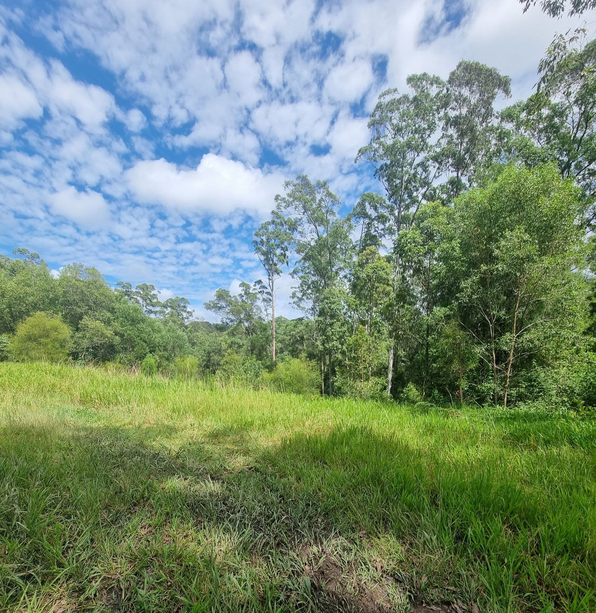 54 McDougall Place FERNMOUNT NSW, Fernmount - Image 1