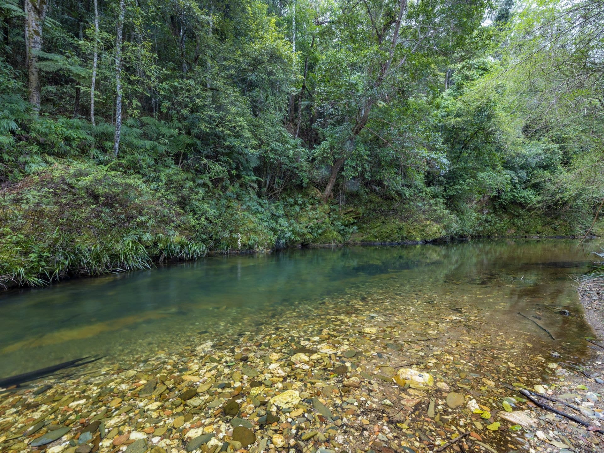 2525 Kalang Road BELLINGEN NSW, Bellingen - Image 1