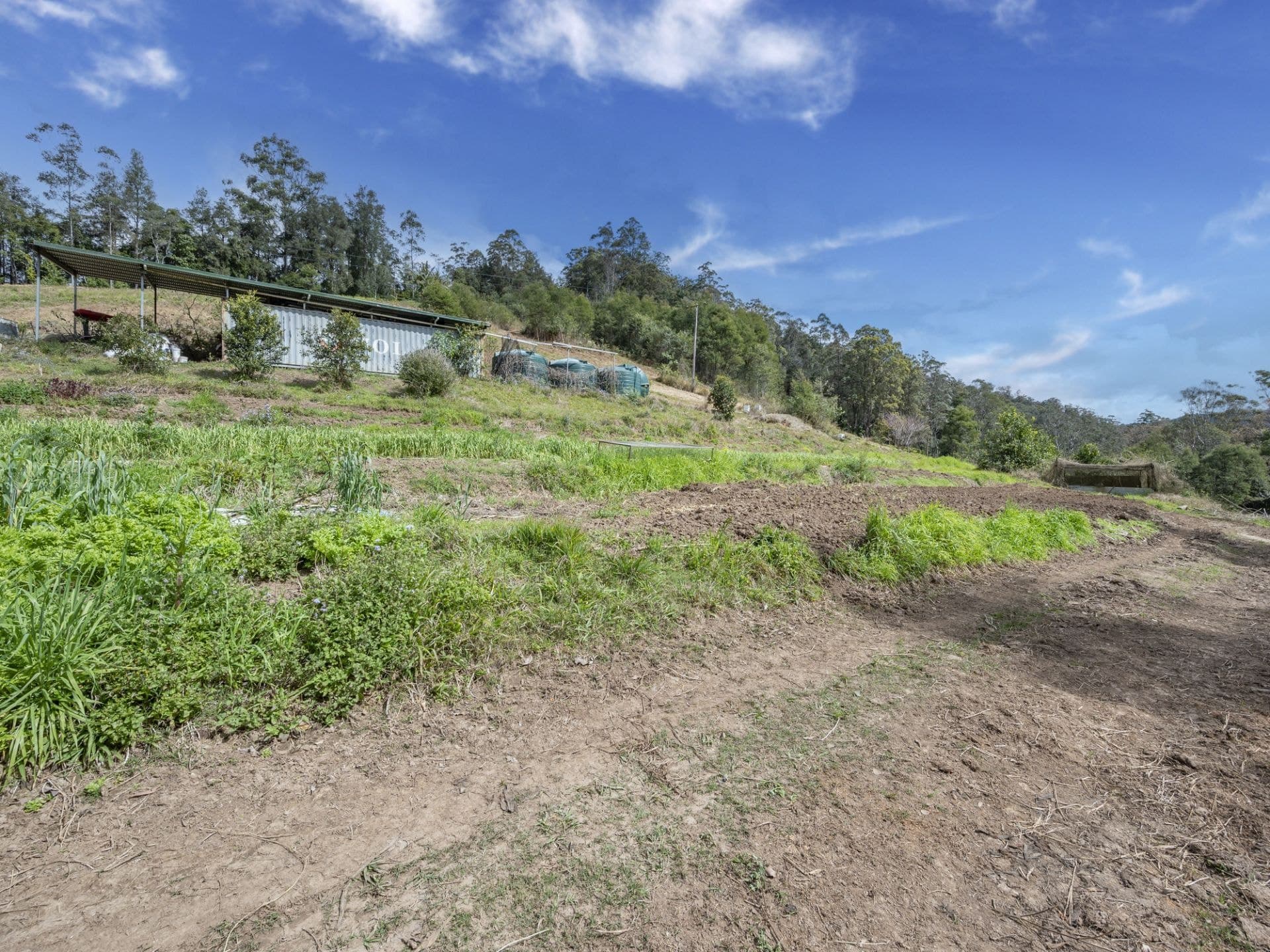2525 Kalang Road BELLINGEN NSW, Bellingen - Thumbnail 6