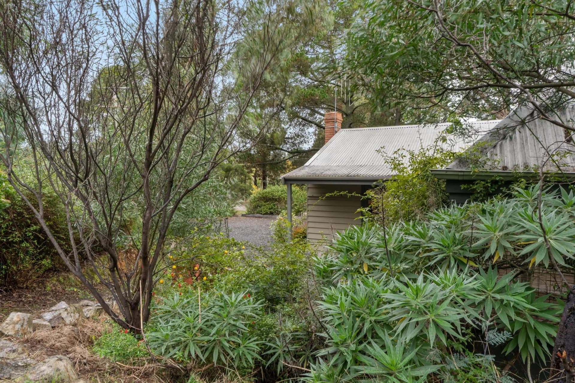 11 Golf Links Road, Hepburn, VIC, Hepburn - Thumbnail 8