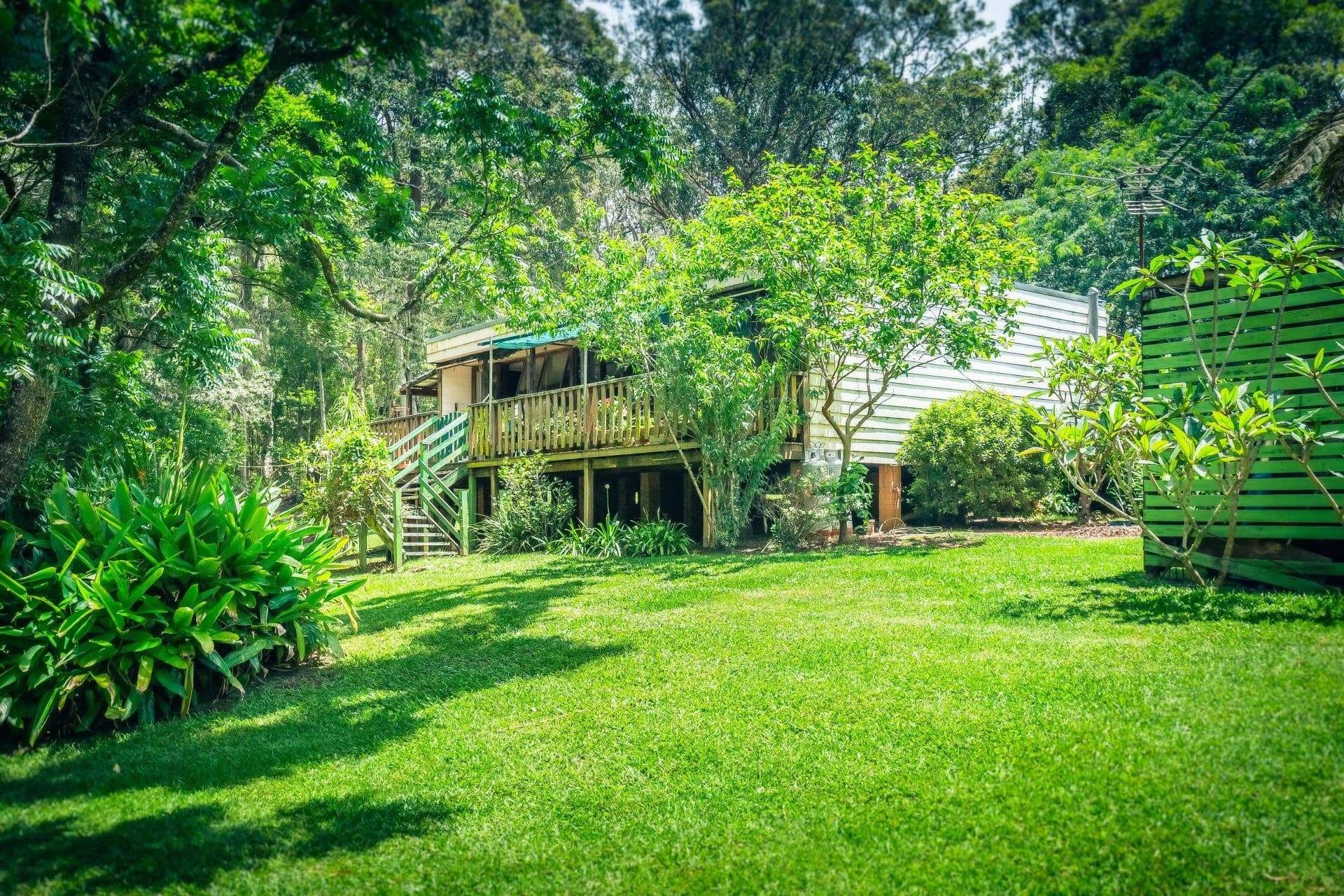 1303 Darkwood Road THORA NSW, Thora - Thumbnail 4