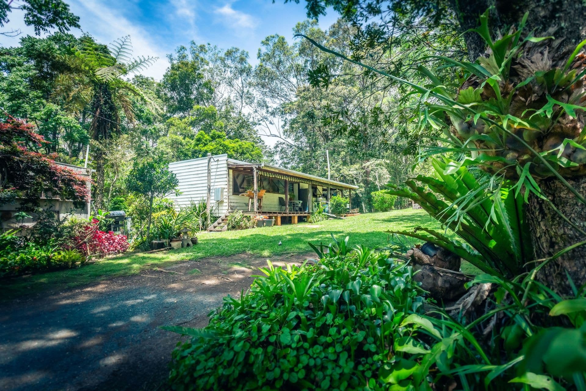 1303 Darkwood Road THORA NSW, Thora - Thumbnail 8