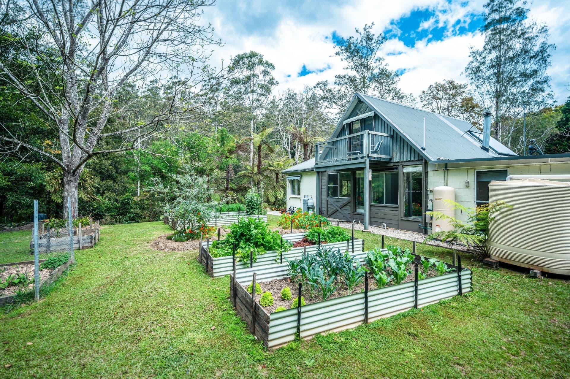 2300 Kalang Road BELLINGEN NSW, Bellingen - Image 1