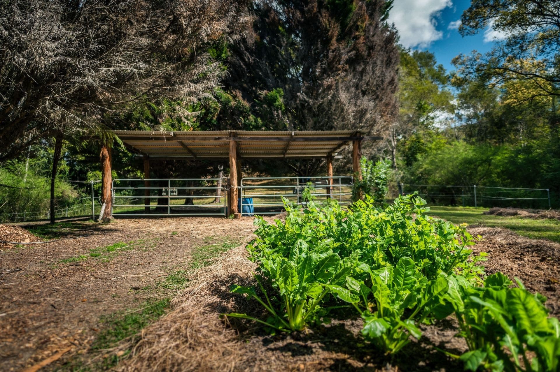 2300 Kalang Road BELLINGEN NSW, Bellingen - Thumbnail 7