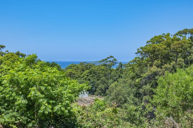 Lot 282 Morgans Road SANDY BEACH NSW, Sandy Beach - Thumbnail 6