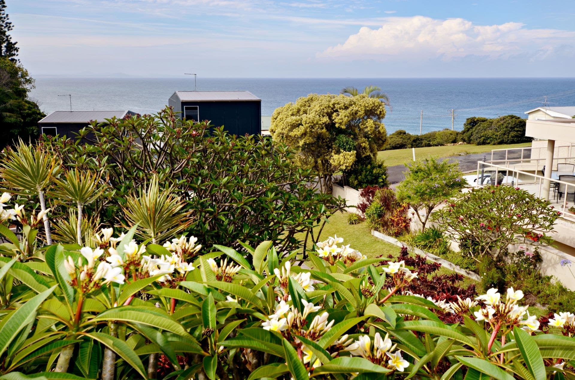 45 Ocean Street WOOLGOOLGA NSW, Woolgoolga - Thumbnail 2