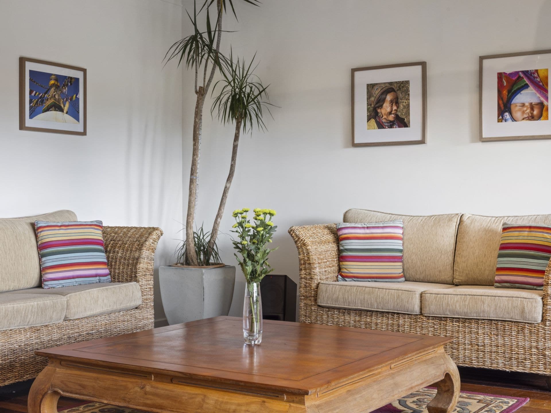 6 Woodward Street North REPTON NSW, Repton - Thumbnail 5