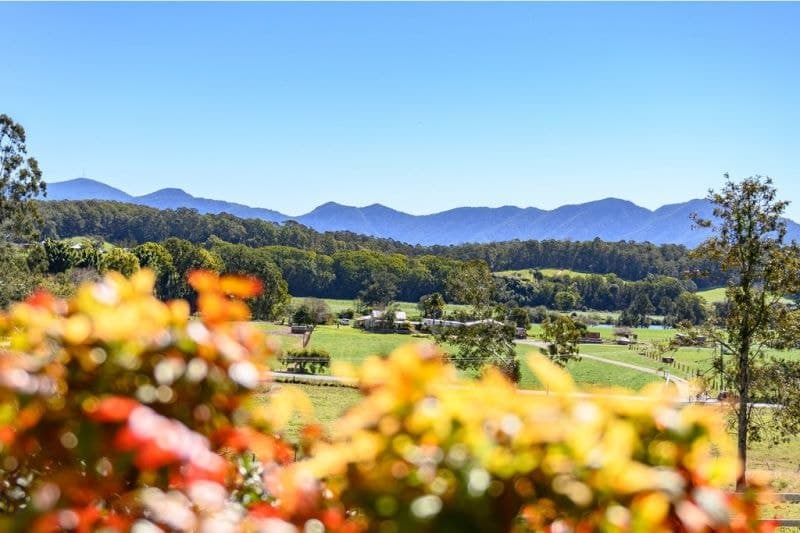 70 Henry Boultwood Drive BELLINGEN NSW, Bellingen - Thumbnail 5