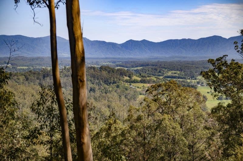 2 Pulsford Place BELLINGEN NSW, Bellingen - Image 1