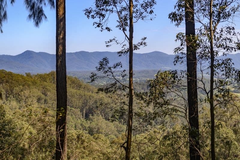 2 Pulsford Place BELLINGEN NSW, Bellingen - Thumbnail 2