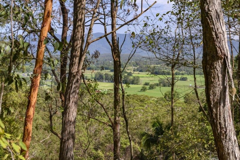 2 Pulsford Place BELLINGEN NSW, Bellingen - Thumbnail 4