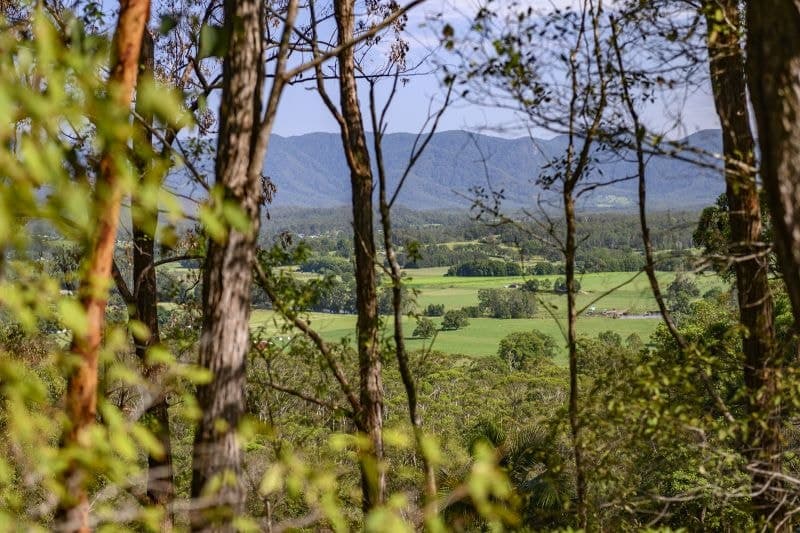 2 Pulsford Place BELLINGEN NSW, Bellingen - Thumbnail 6