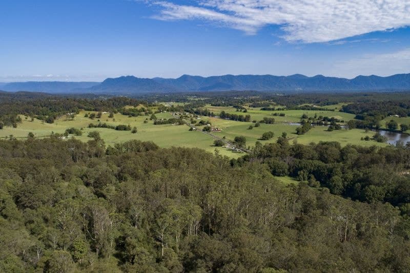 2 Pulsford Place BELLINGEN NSW, Bellingen - Thumbnail 7