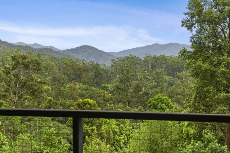 1772 Kalang Road BELLINGEN NSW, Bellingen - Image 1
