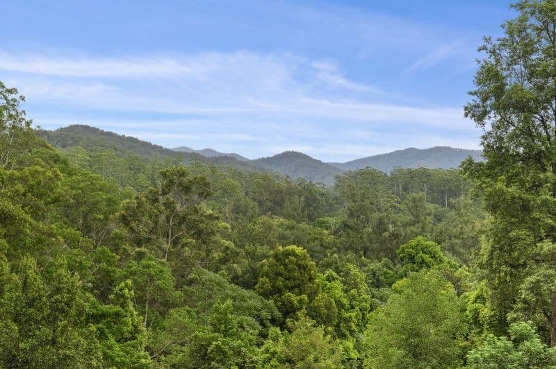 1772 Kalang Road BELLINGEN NSW, Bellingen - Thumbnail 3