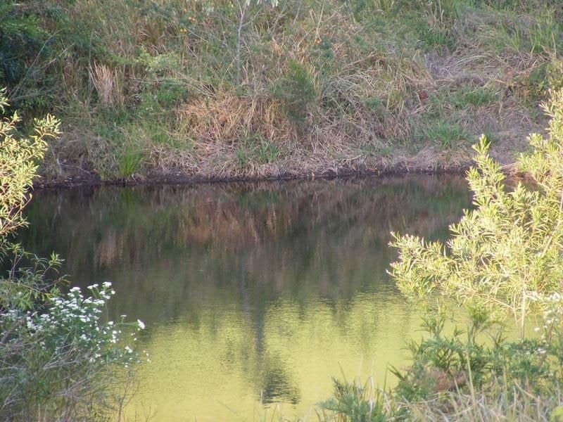 Lot 15 Gleniffer Road BELLINGEN NSW, Bellingen - Thumbnail 3