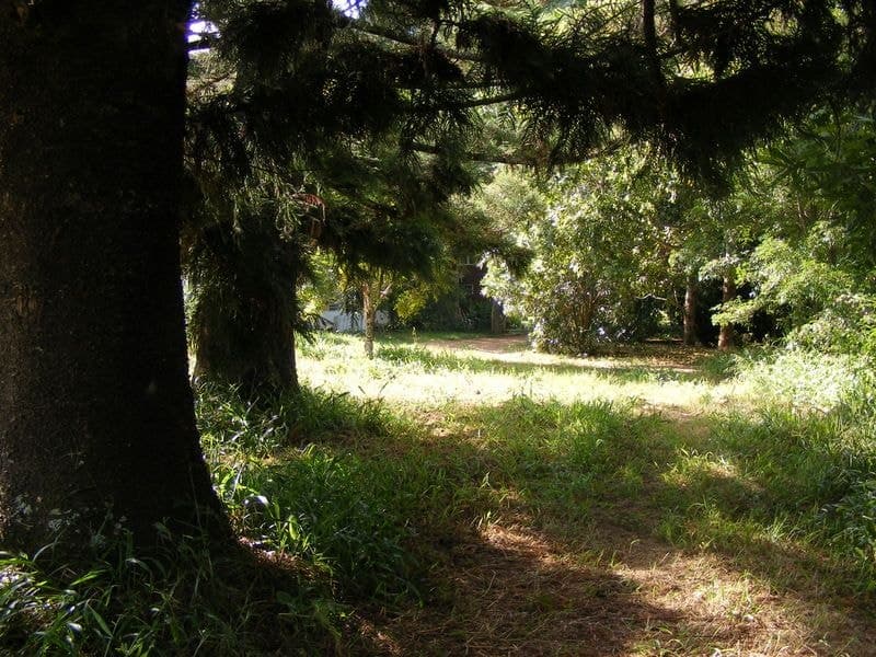445 Summervilles Road BELLINGEN NSW, Bellingen - Thumbnail 2